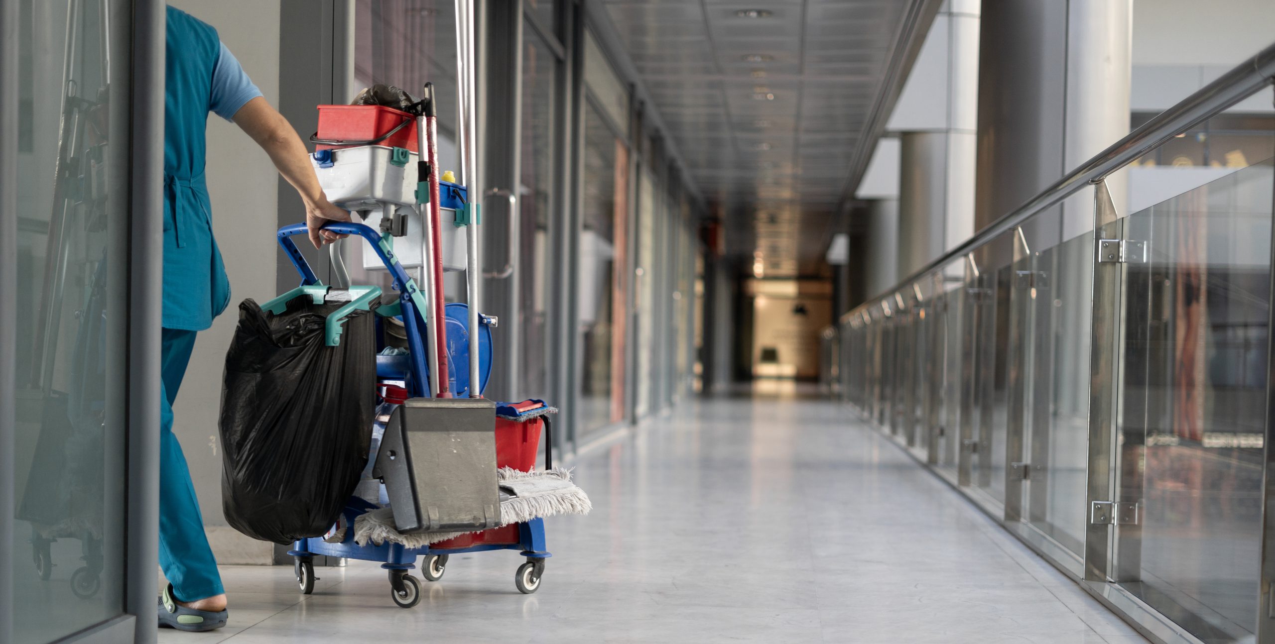 cleaning services near Algonquin